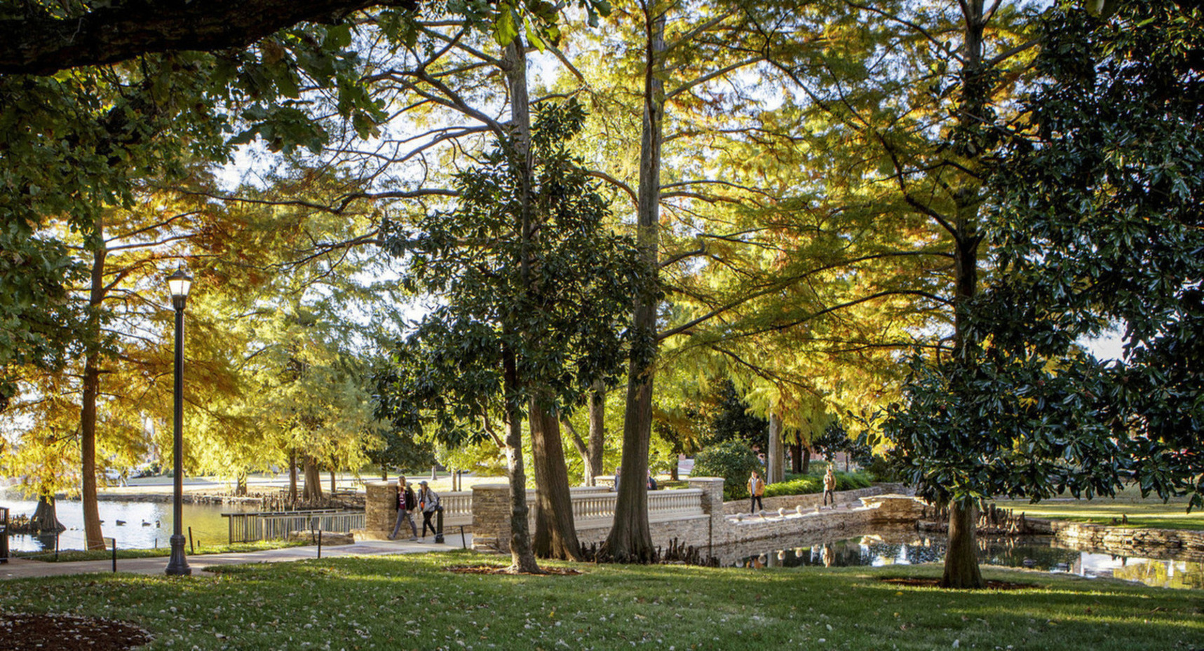 Image of theta pond