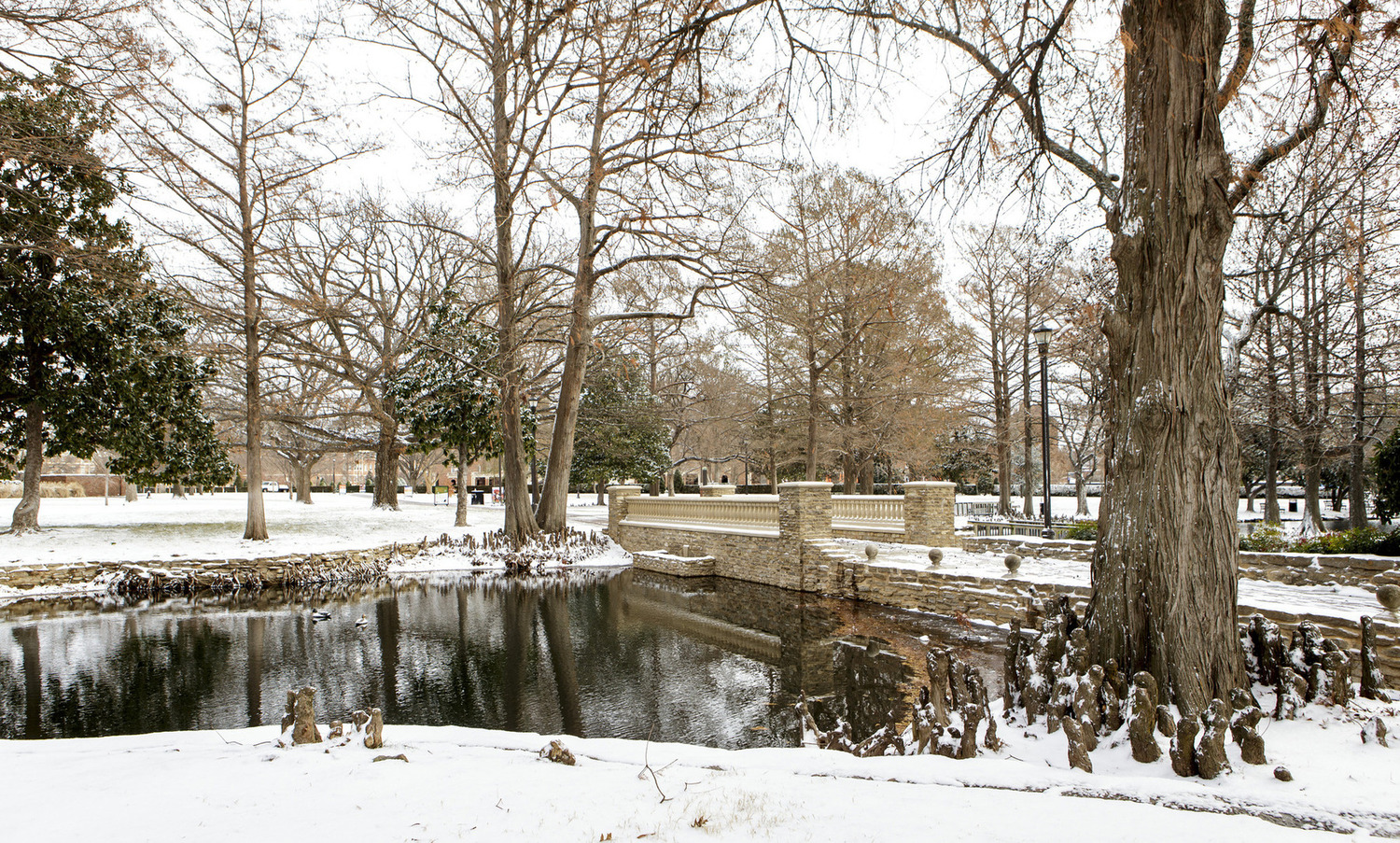 theta pond in the winter